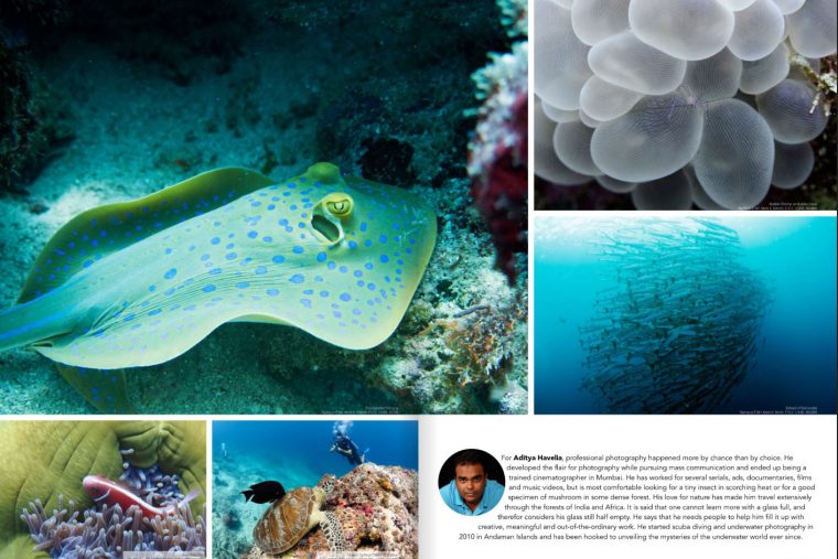 Aditya Havelia Underwater Photography Featured On Chiiz Magazine