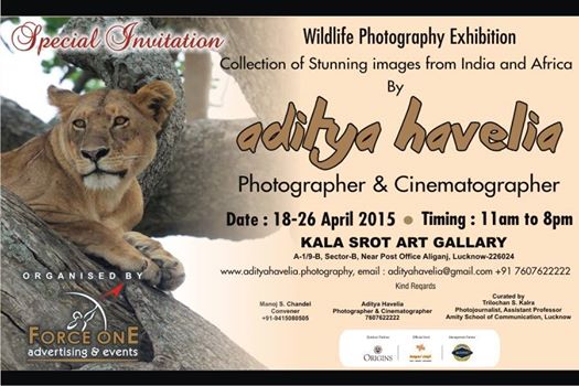 11160563_1041590399202511_4242067923463587113_n